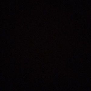 Meet your Posher, Reece